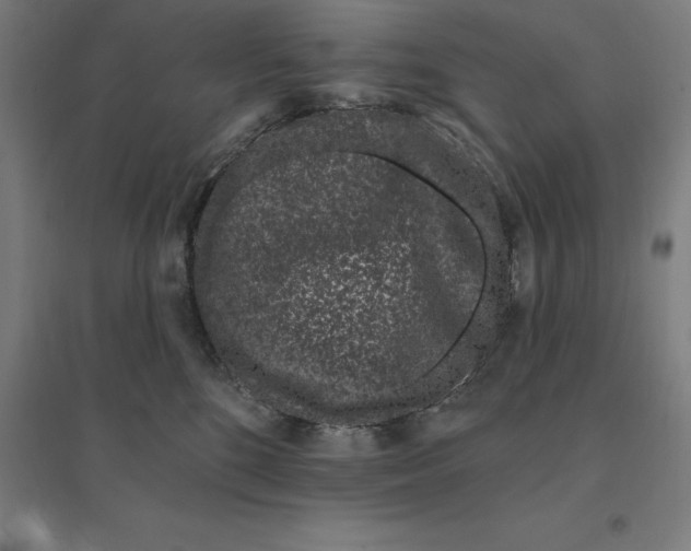 X0000095130520200712301827