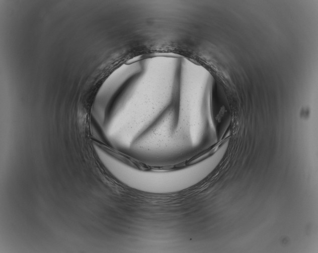 X0000095130521200712301827