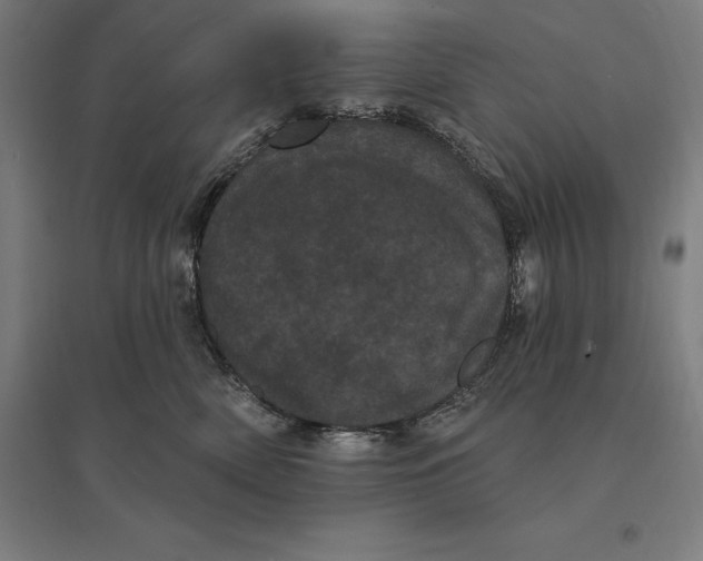 X0000095130522200712301827