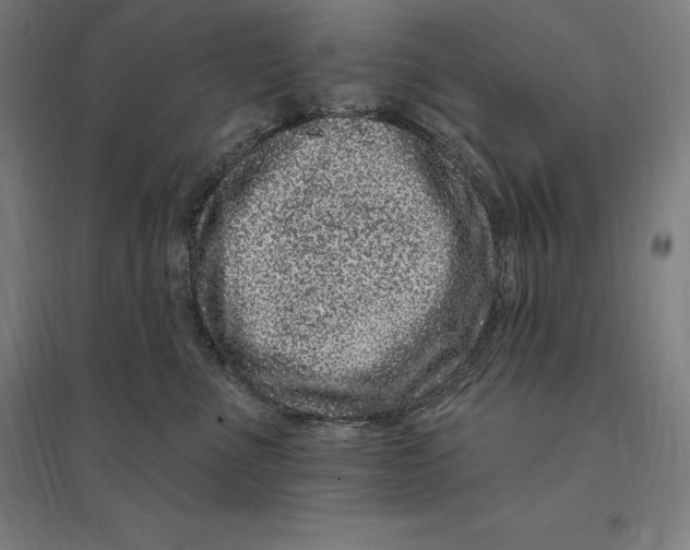 X0000095130523200712301827