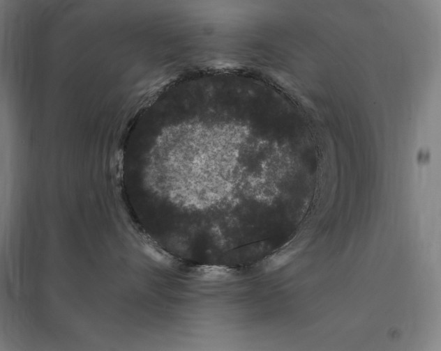 X0000095130528200712301827