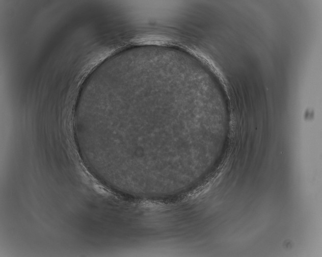 X0000095130529200712301826