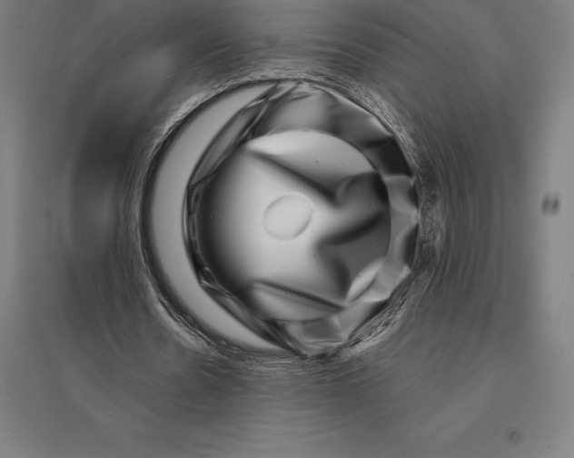 X0000095130530200712301826