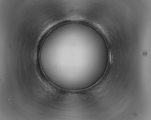 X0000095130531200712301826