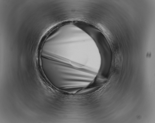 X0000095130532200712301826