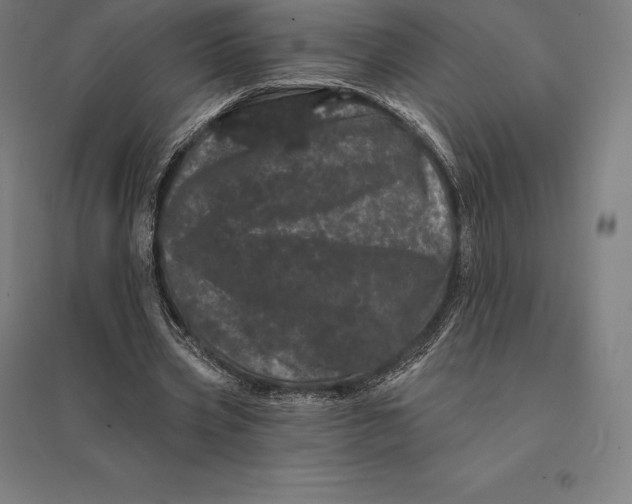 X0000095130533200712301826