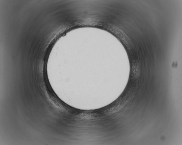 X0000095130534200712301826