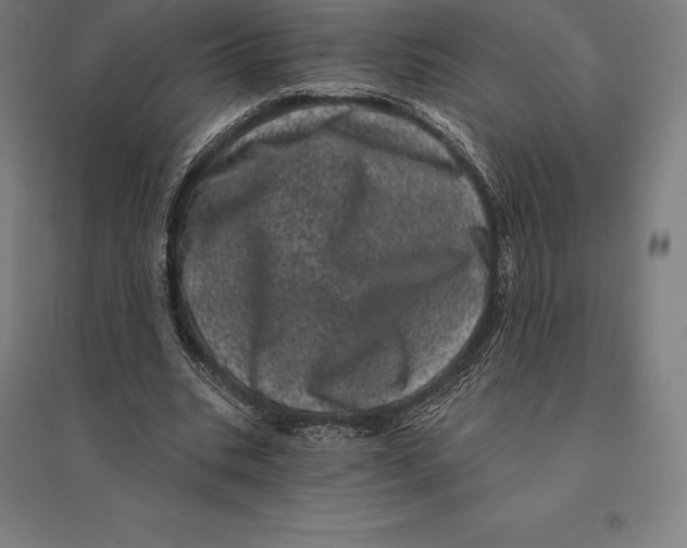 X0000095130535200712301827