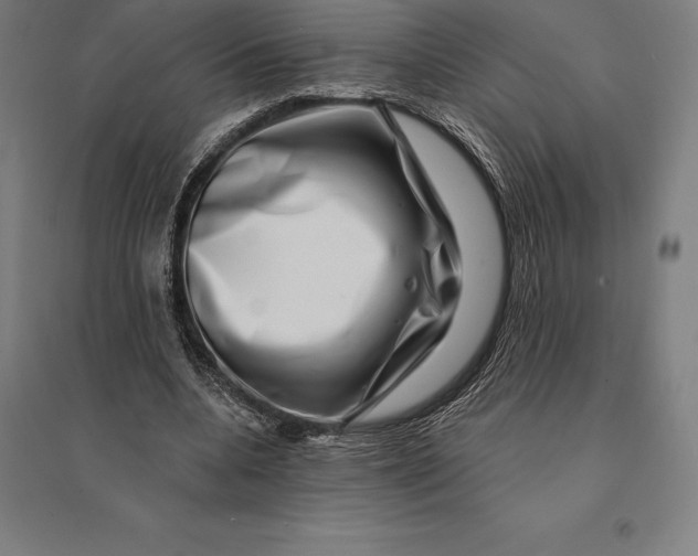 X0000095130536200712301827