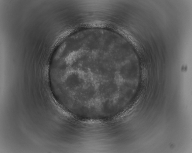 X0000095130537200712301827