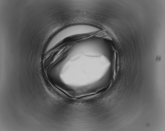 X0000095130538200712301827