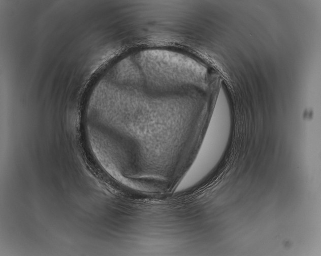 X0000095130539200712301827