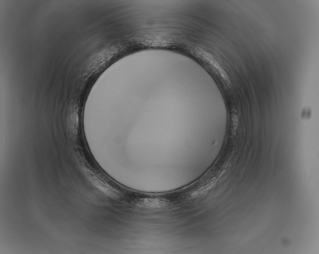 X0000095130541200712301827