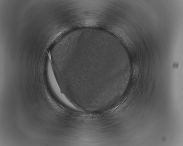 X0000095130542200712301827