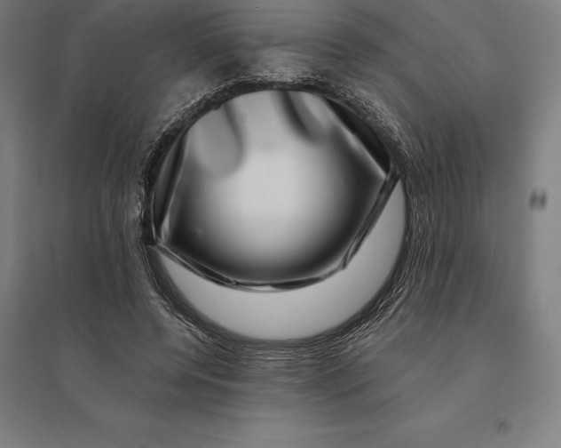 X0000095130544200712301827