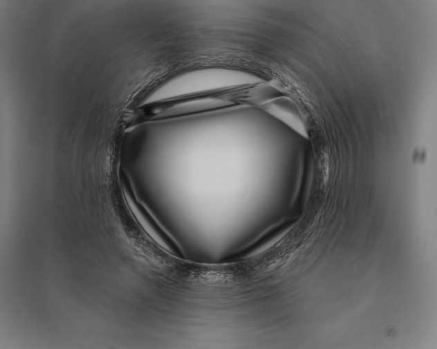 X0000095130546200712301827