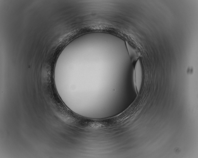 X0000095130547200712301827