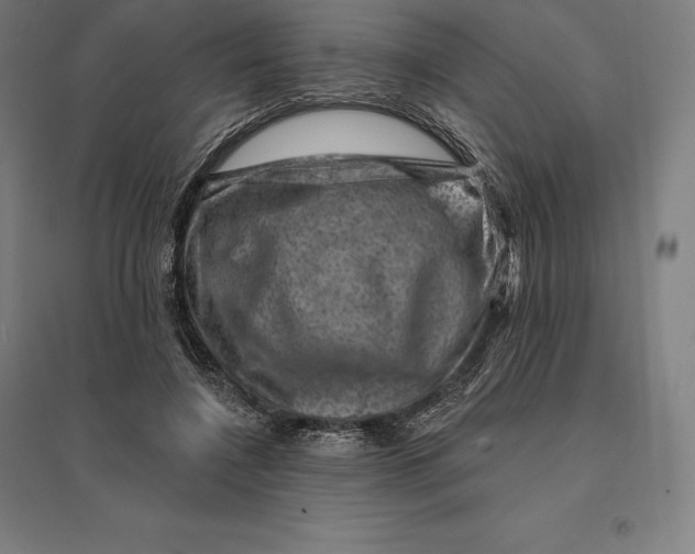 X0000095130548200712301827