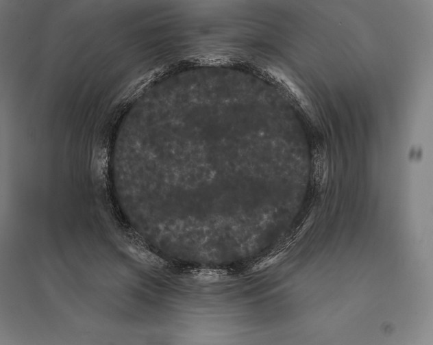 X0000095130549200712301827