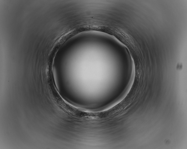 X0000095130552200712301827