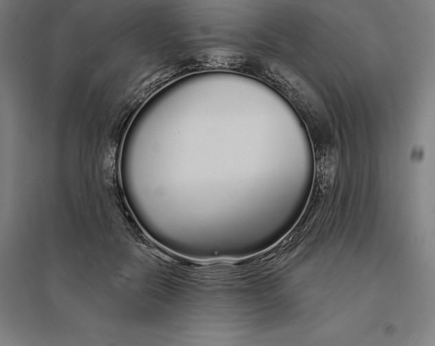 X0000095130554200712301827