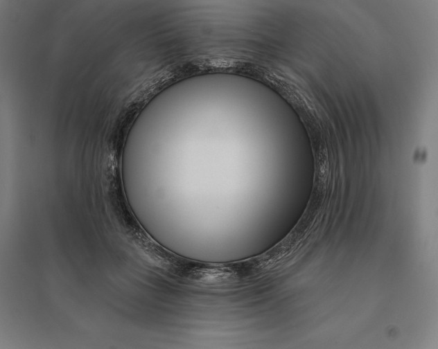 X0000095130555200712301827