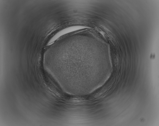 X0000095130556200712301827