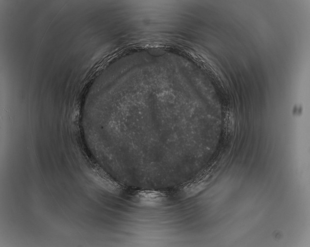 X0000095130557200712301827