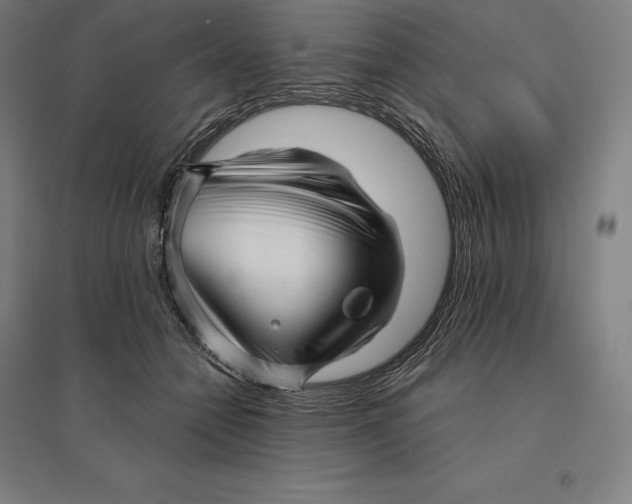 X0000095130558200712301827