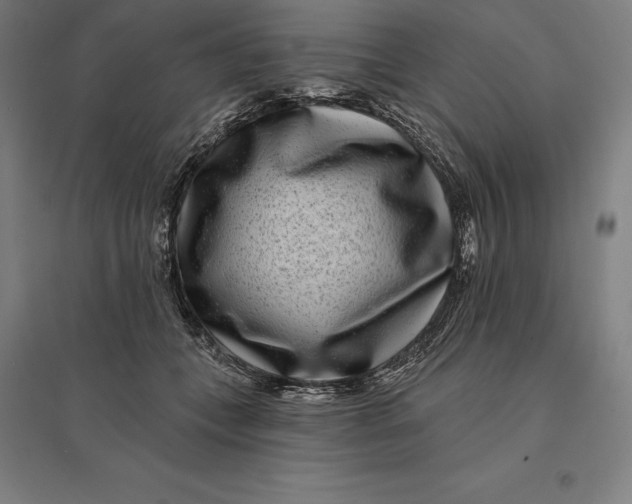 X0000095130559200712301827