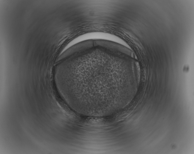 X0000095130560200712301827