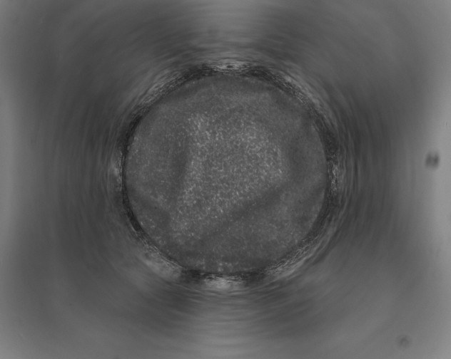 X0000095130561200712301827