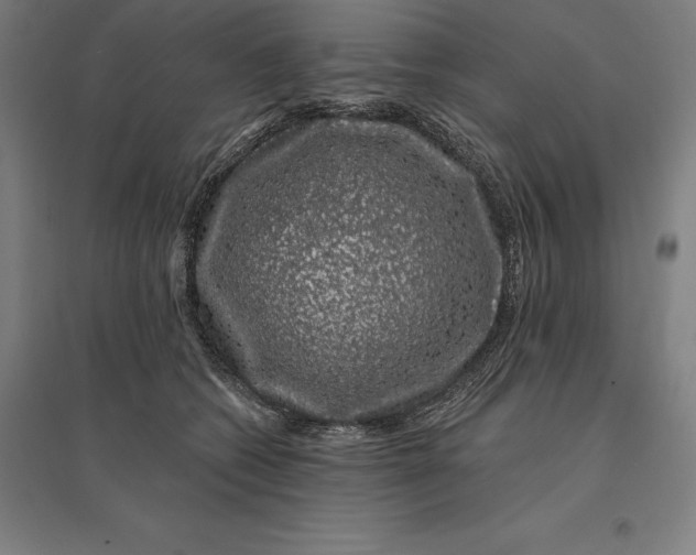 X0000095130562200712301827