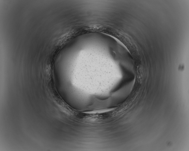 X0000095130563200712301827