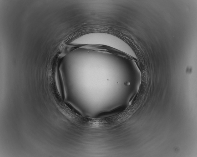 X0000095130564200712301827