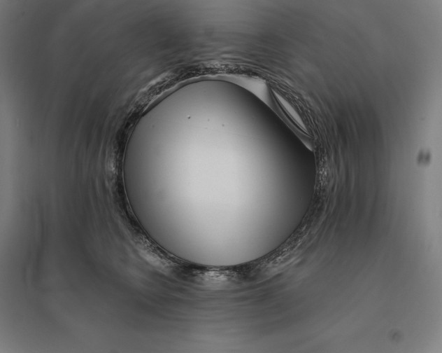 X0000095130566200712301827