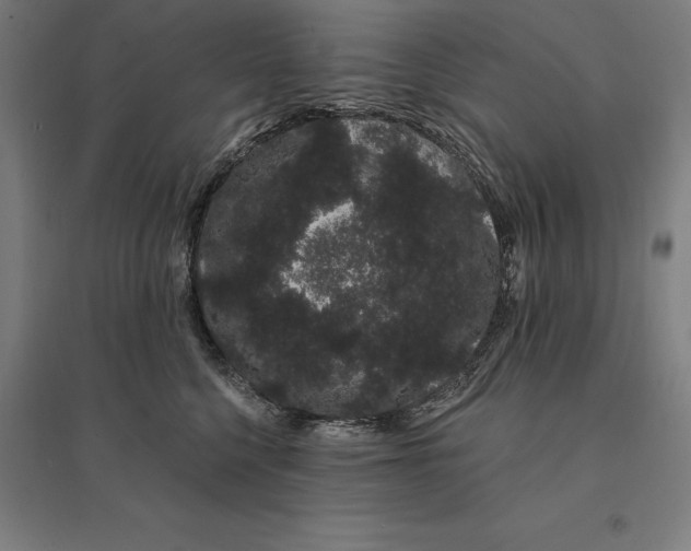 X0000095130568200712301827