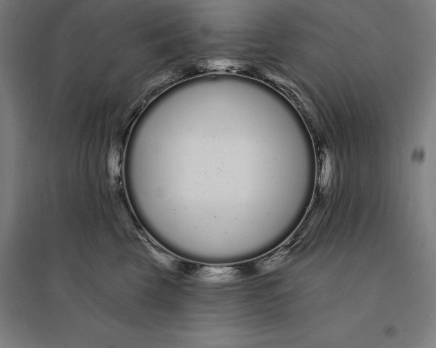 X0000095130569200712301827