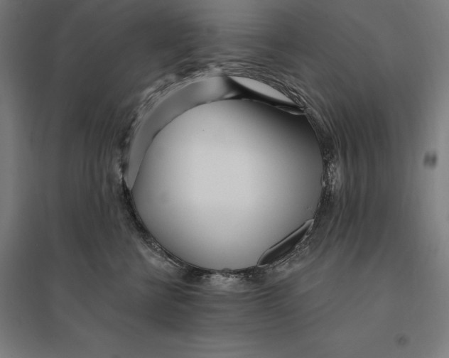 X0000095130570200712301827