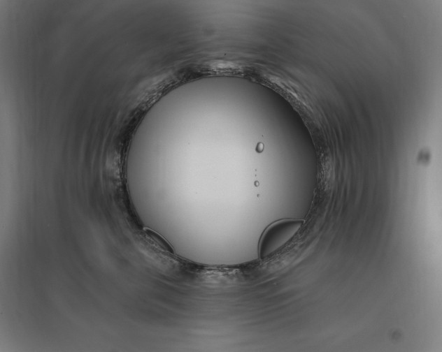 X0000095130571200712301827