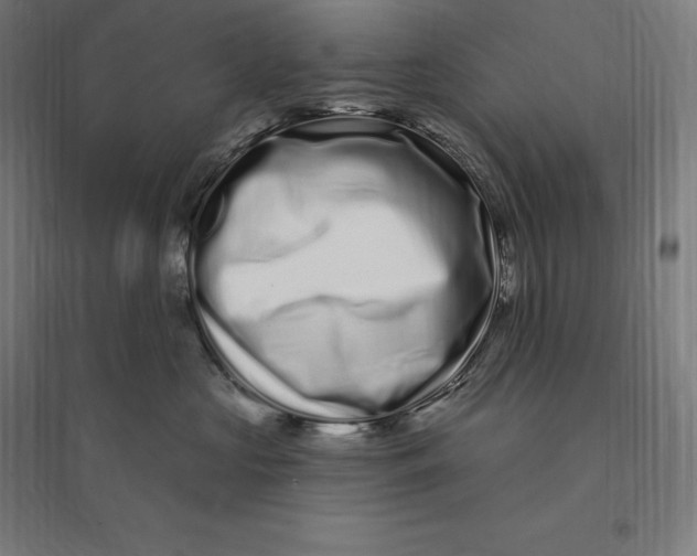 X0000095130573200712301827