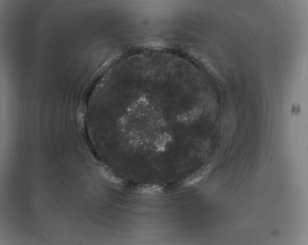 X0000095130576200712301827