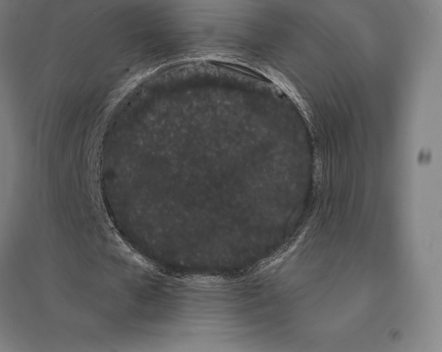 X0000095130577200712301826