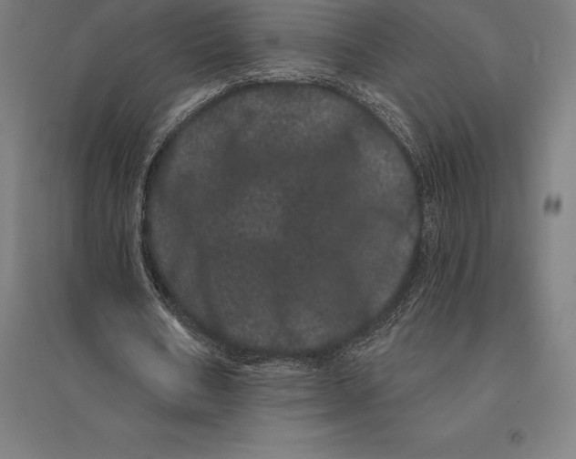 X0000095130578200712301826