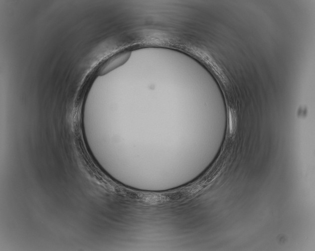 X0000095130579200712301826