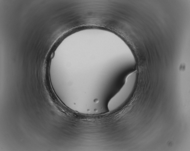 X0000095130580200712301826