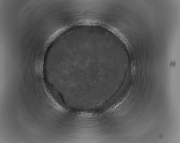 X0000095130581200712301826