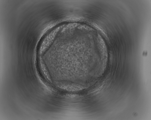 X0000095130582200712301826