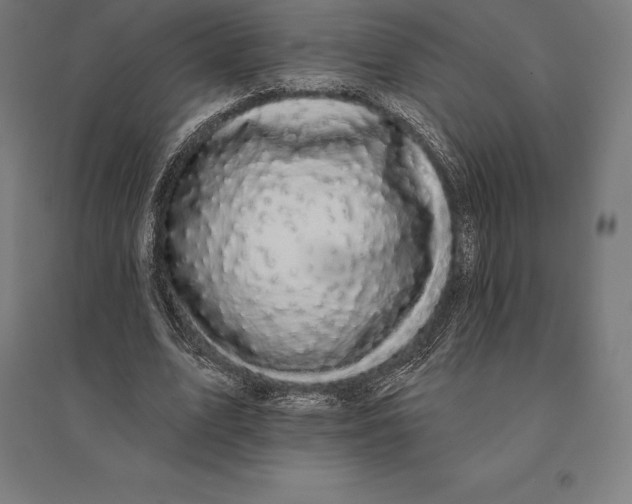 X0000095130583200712301826