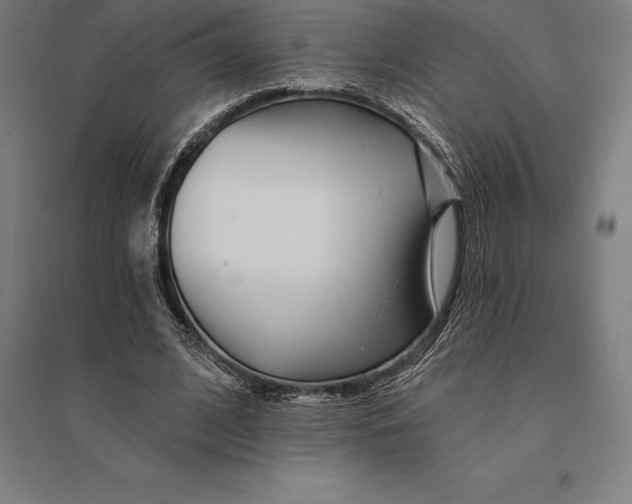 X0000095130584200712301826